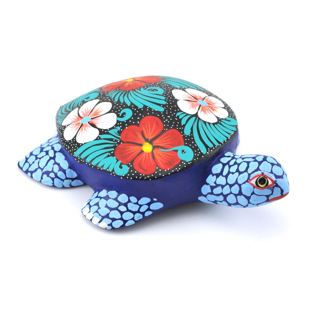 Oaxacan Sea Turtle by Munoz