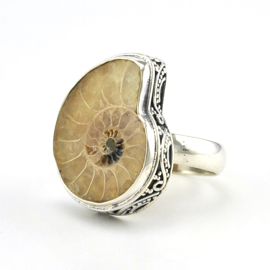 Fossil ammonite silver orders ring