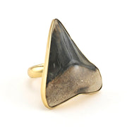 Alchemía Fossil Shark Tooth Ring