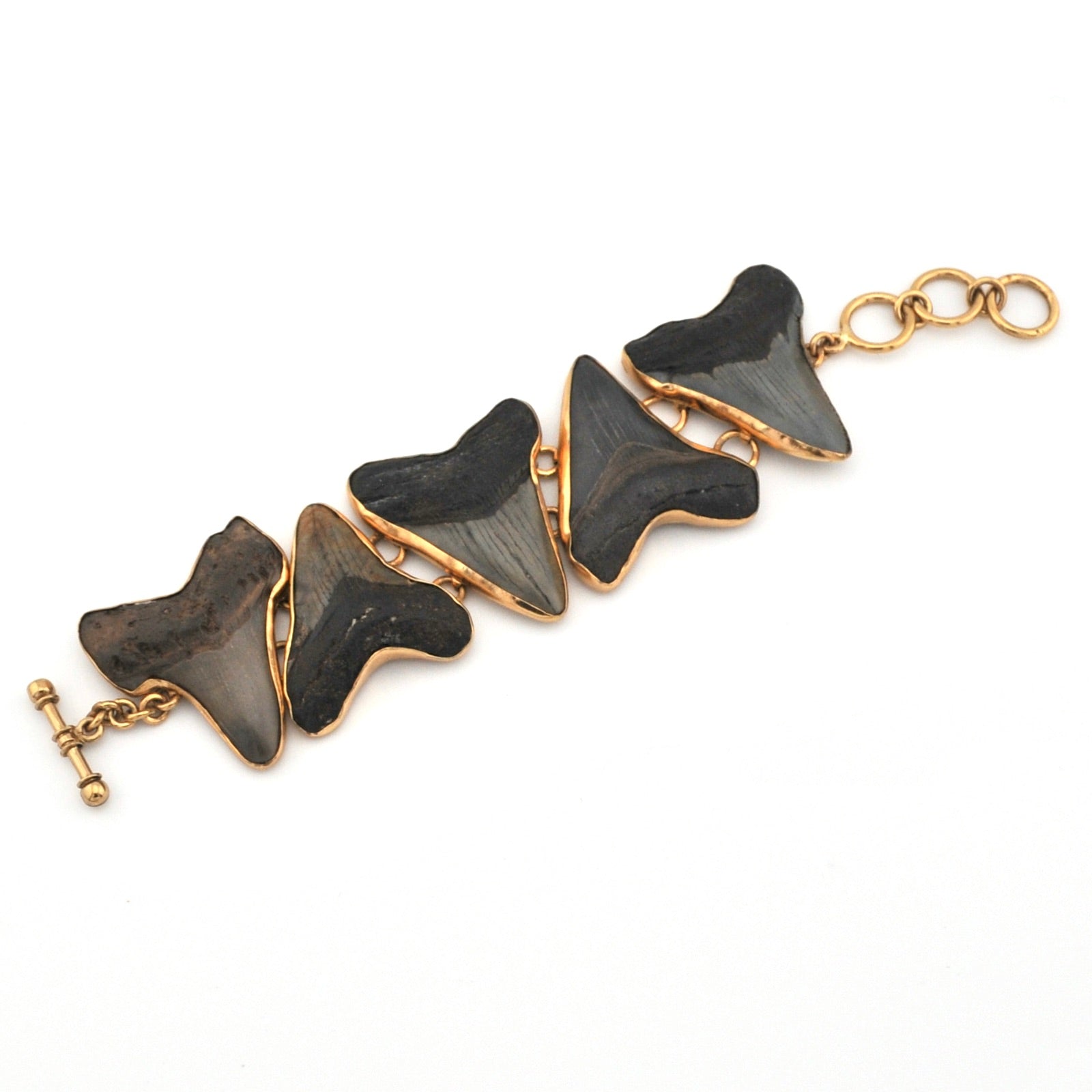 Bracelet with shark teeth on a white background