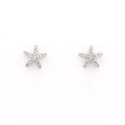 Starfish silver earrings on a white background