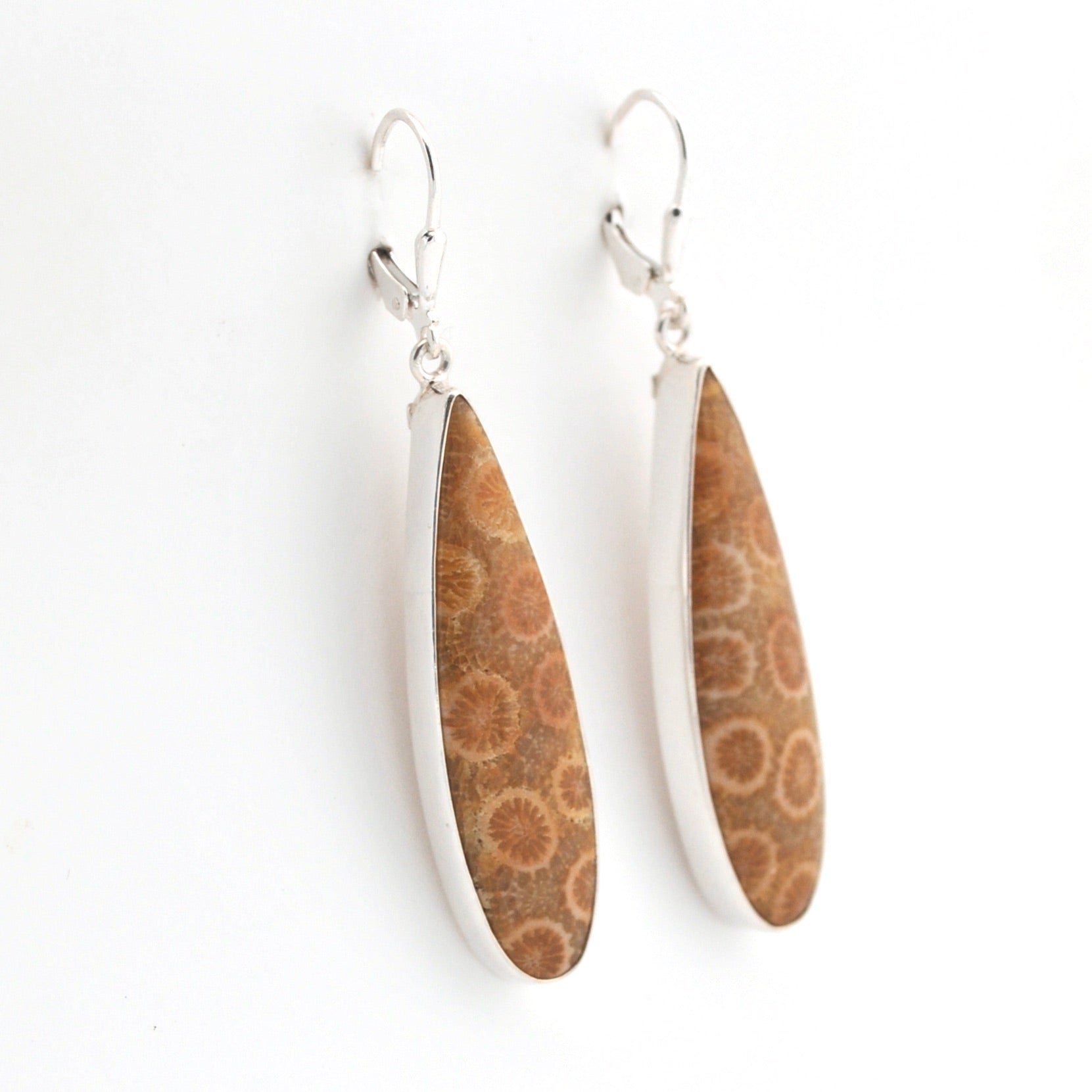 Pair of earrings with brown petrified wood and silver metal on a white background