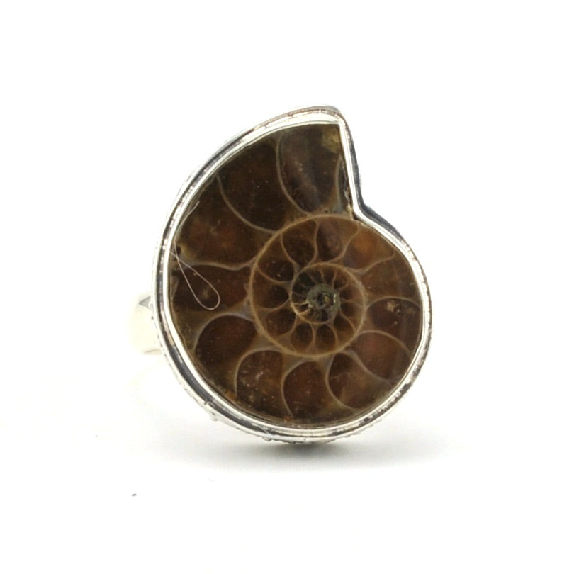 Alt View Sterling Silver Ammonite Bali Ring