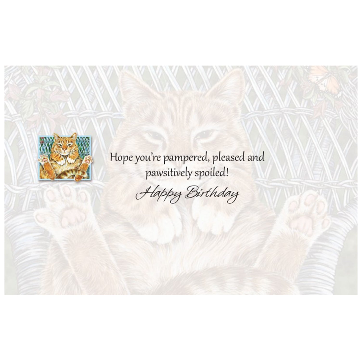 Card Inside Lazy Summer Days Birthday Card