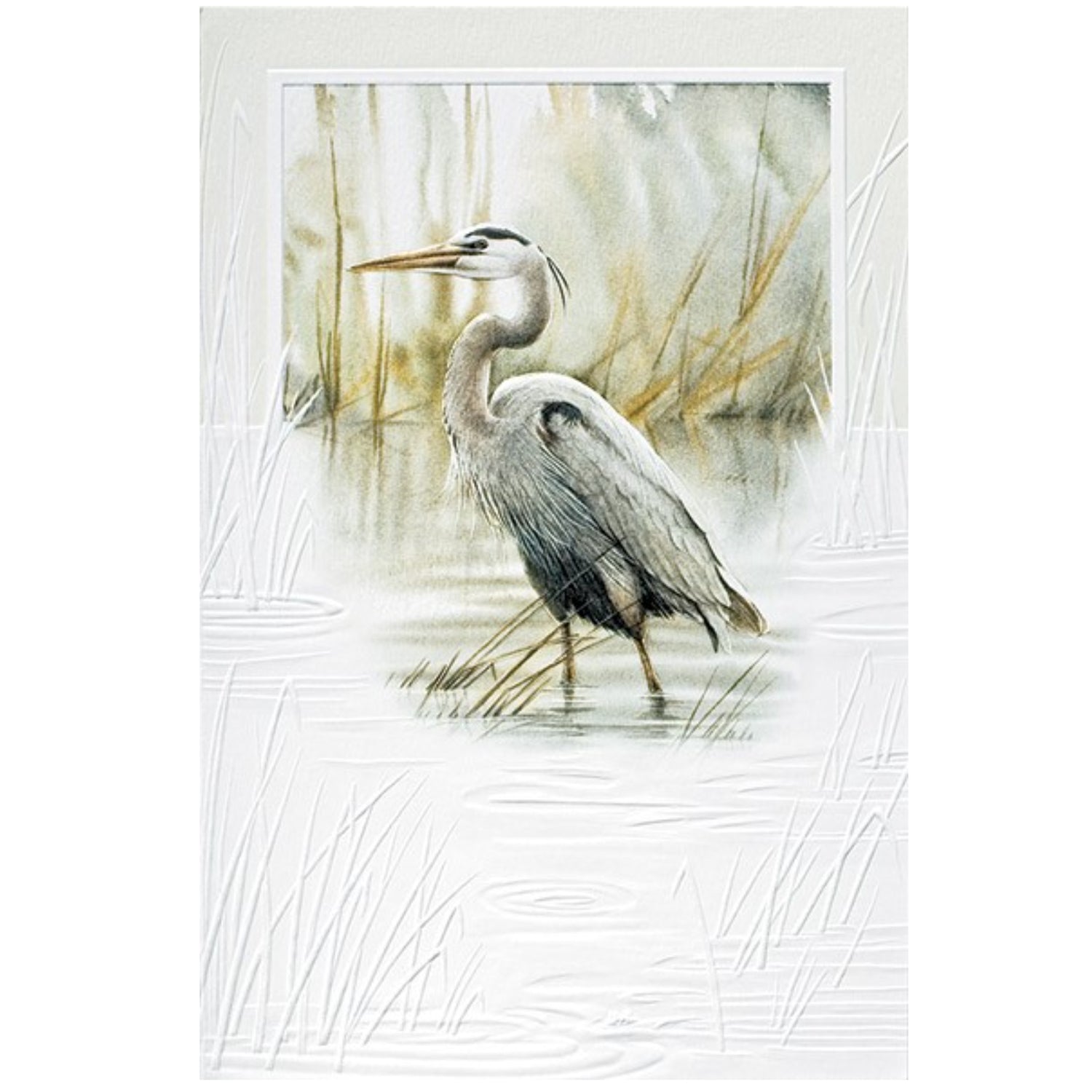 First Light Birthday Card