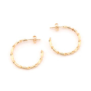 Gold hoop earrings on a white background
