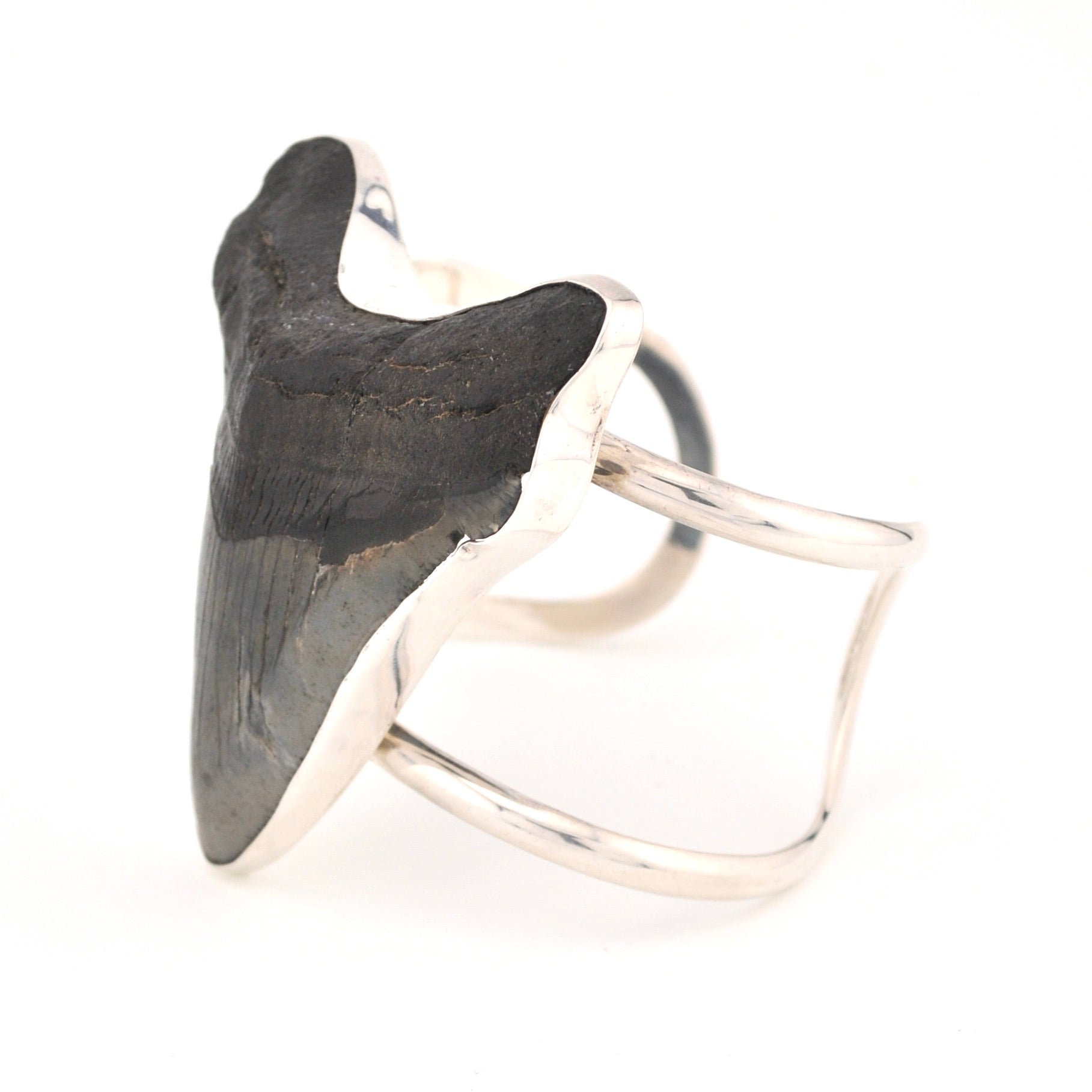 Shiny silver bracelet with a large black shark tooth on a white background