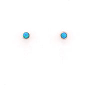Pair of silver stud earrings with blue gemstones on a white background