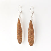 Pair of earrings with brown fossil coral on a white background