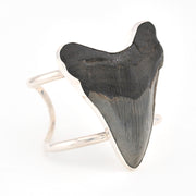 Fossilized shark tooth in a silver bracelet on a white background