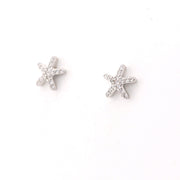 Starfish silver earrings on a white background