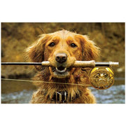 Fishing Buddy Blank Card