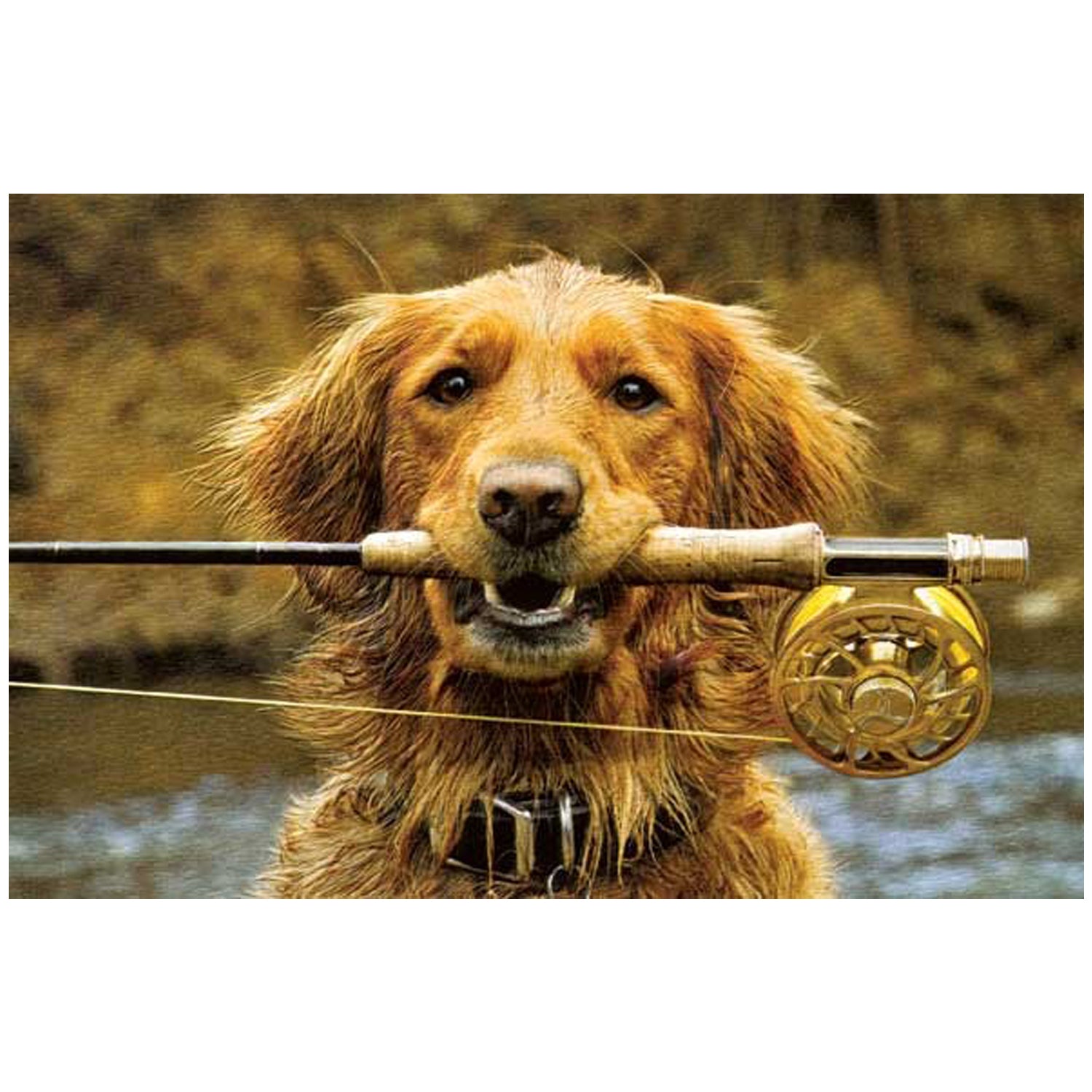 Fishing Buddy Blank Card