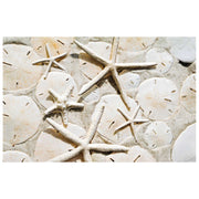 Stars and Dollars Get Well Card