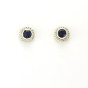 Alt View Sterling Silver Iolite 5mm Round Post Earrings