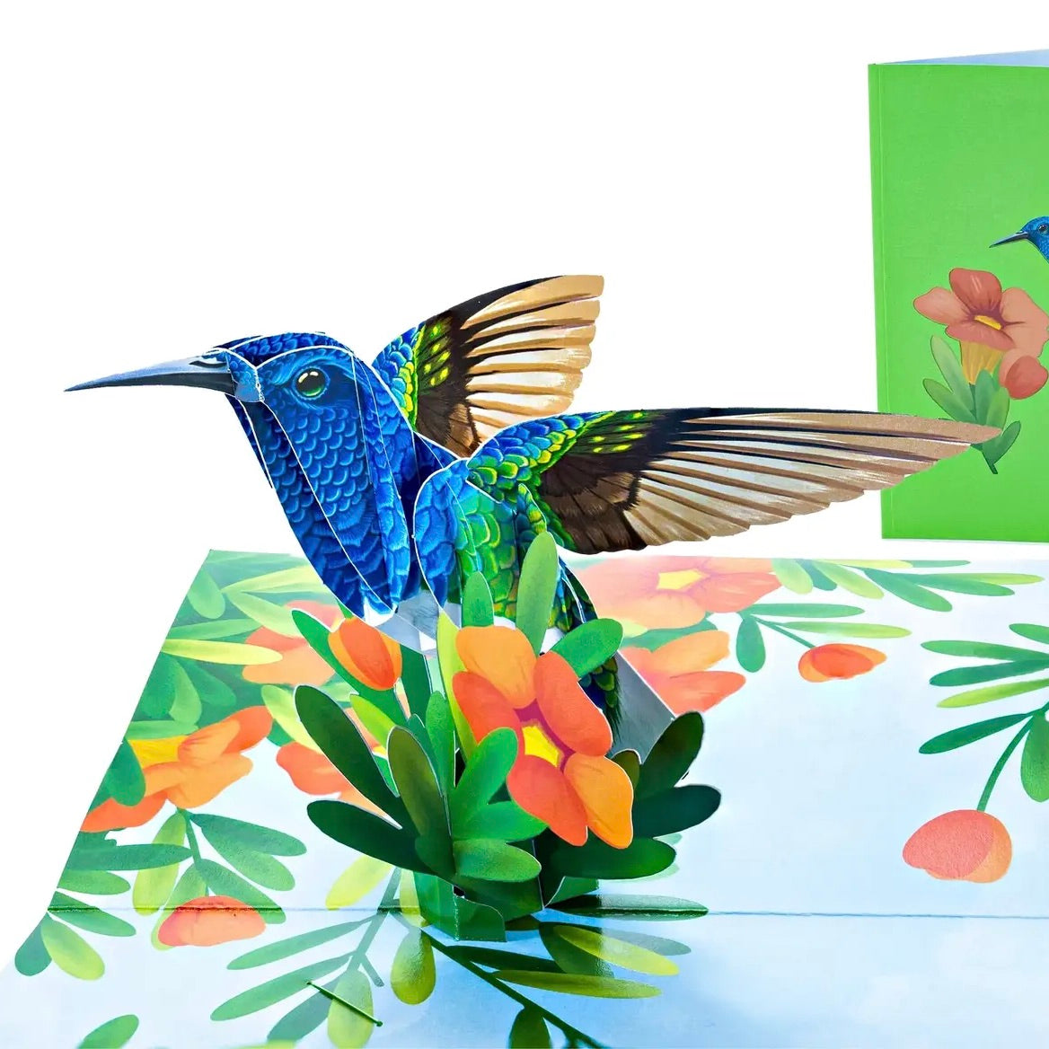 Alt View Hummingbird Pop Up Card