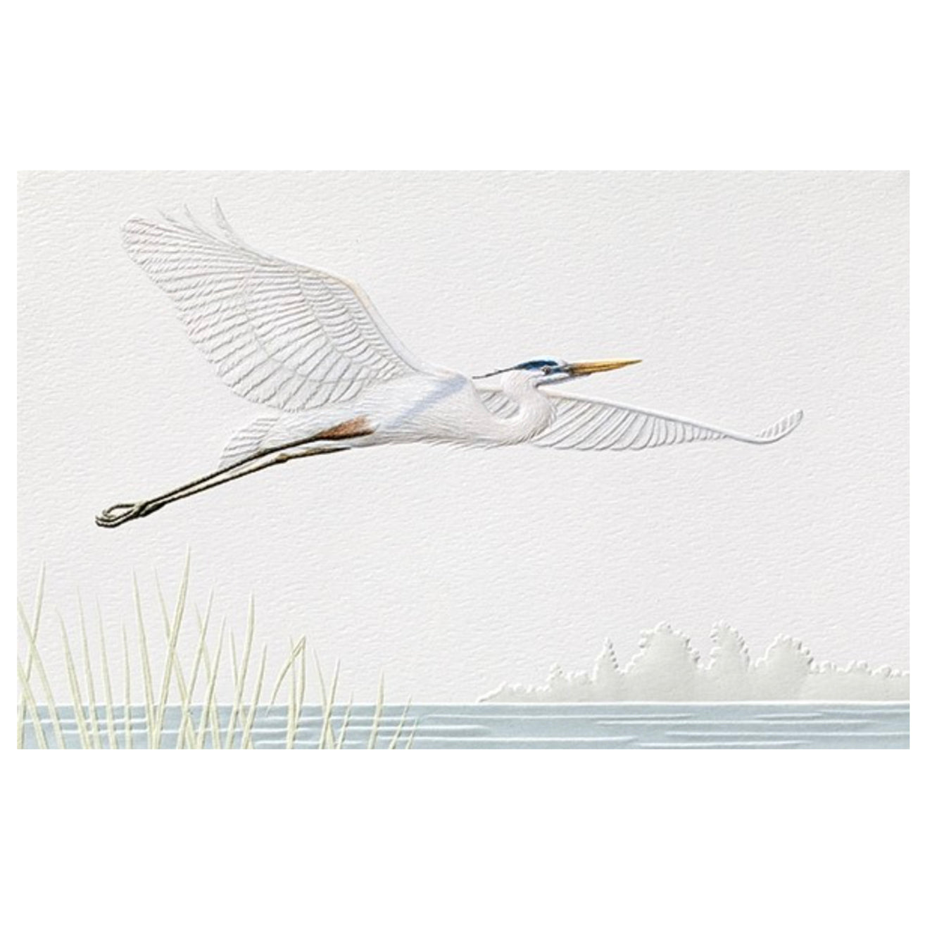 Blue Heron Birthday Card