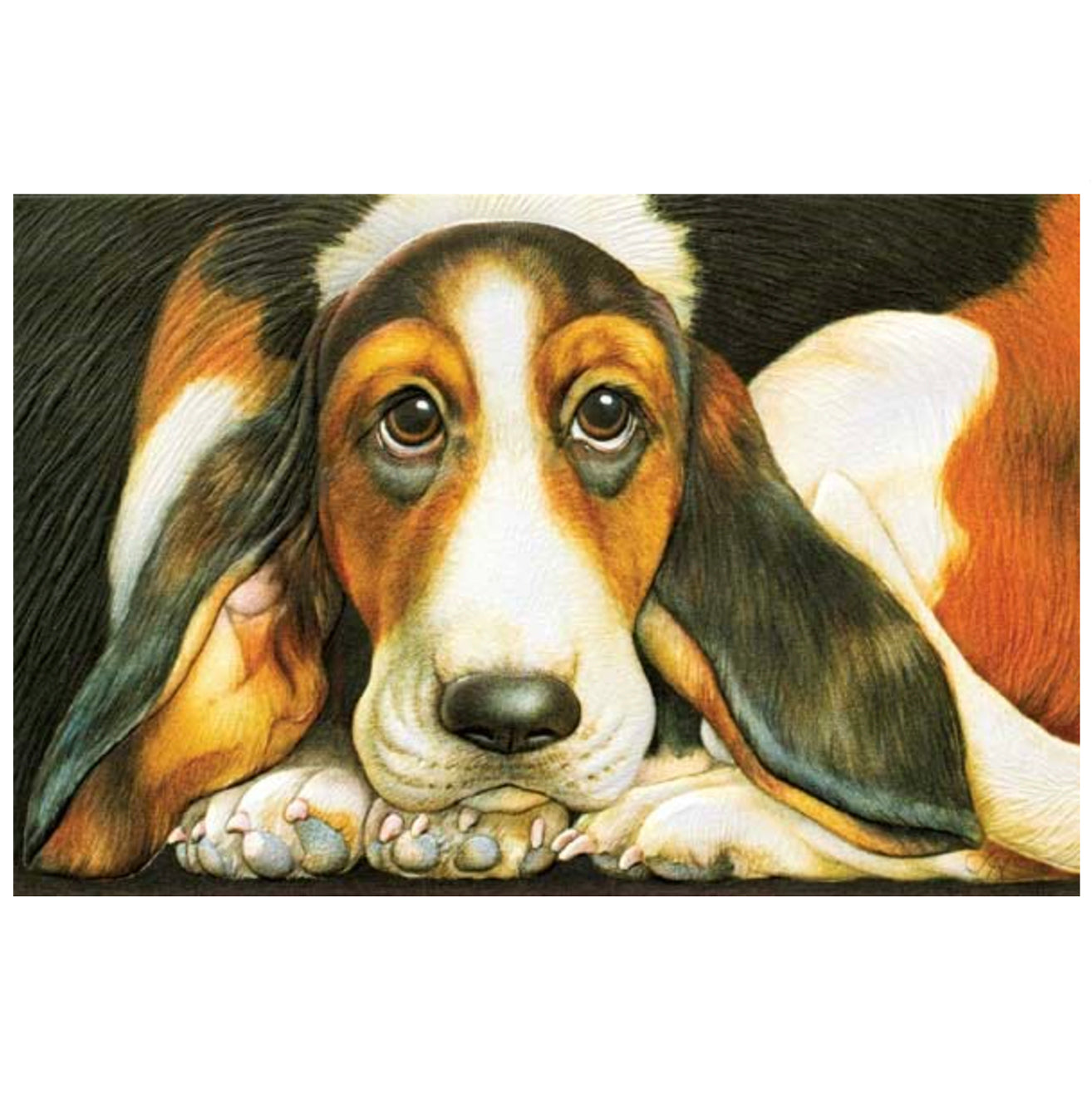 Basset Hound Pet Sympathy Card