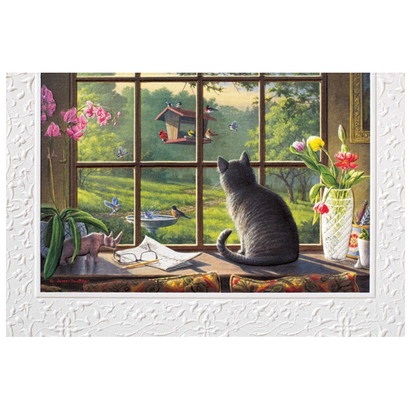 Birdwatching Birthday Card