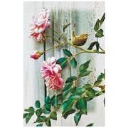 Summer Roses Sympathy Card