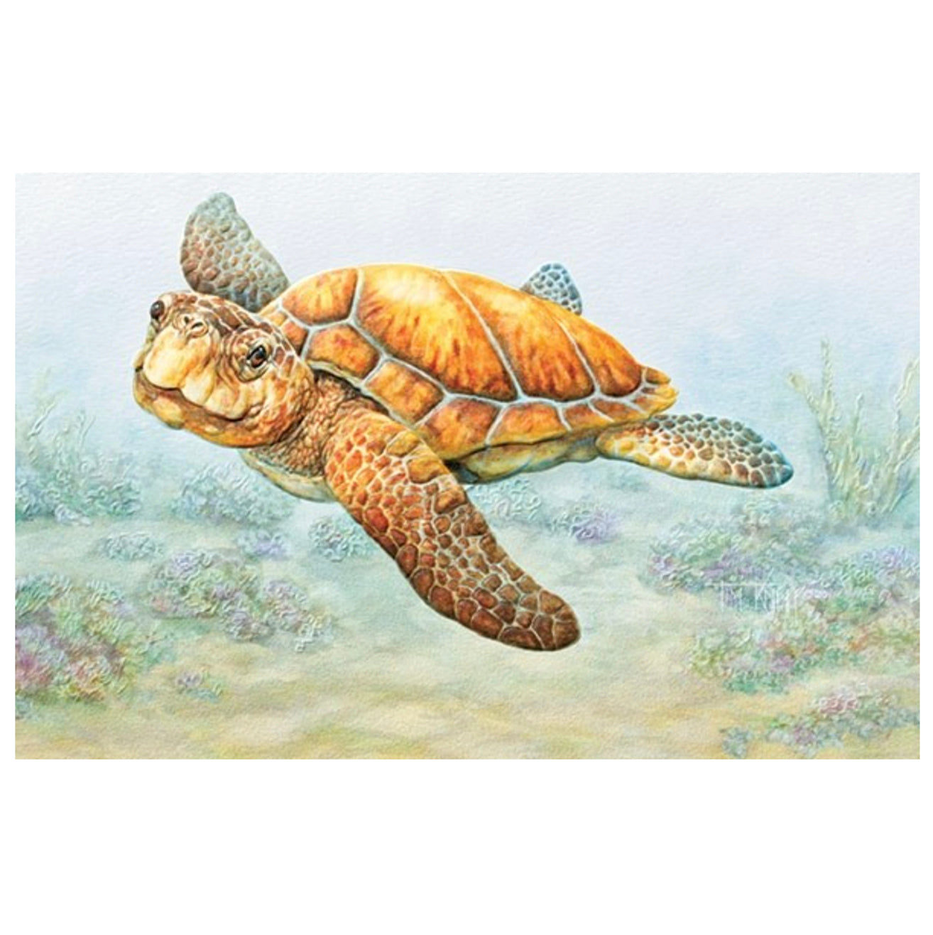 Deep Sea Diver Birthday Card