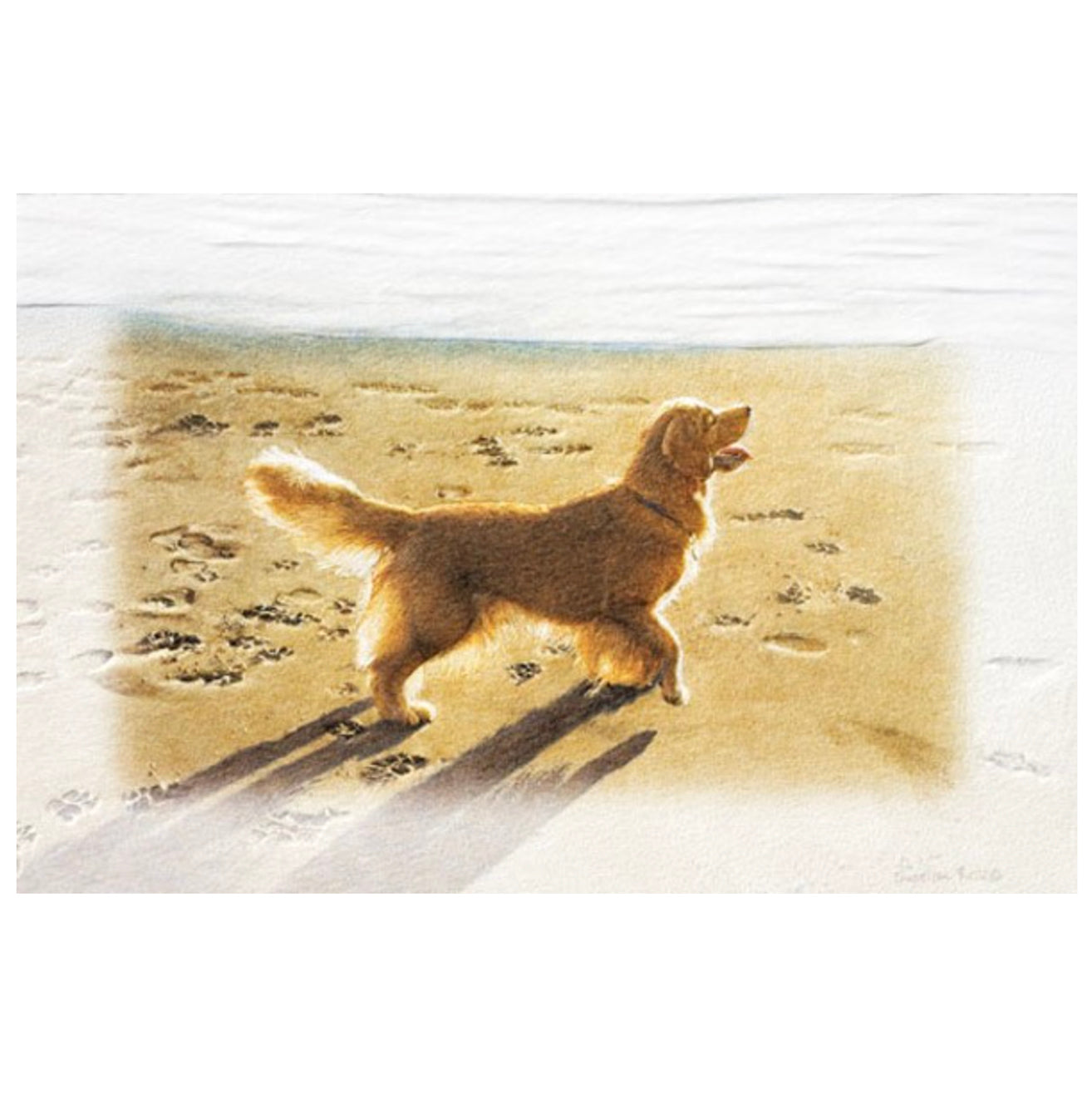 Sally Seaside Birthday Card