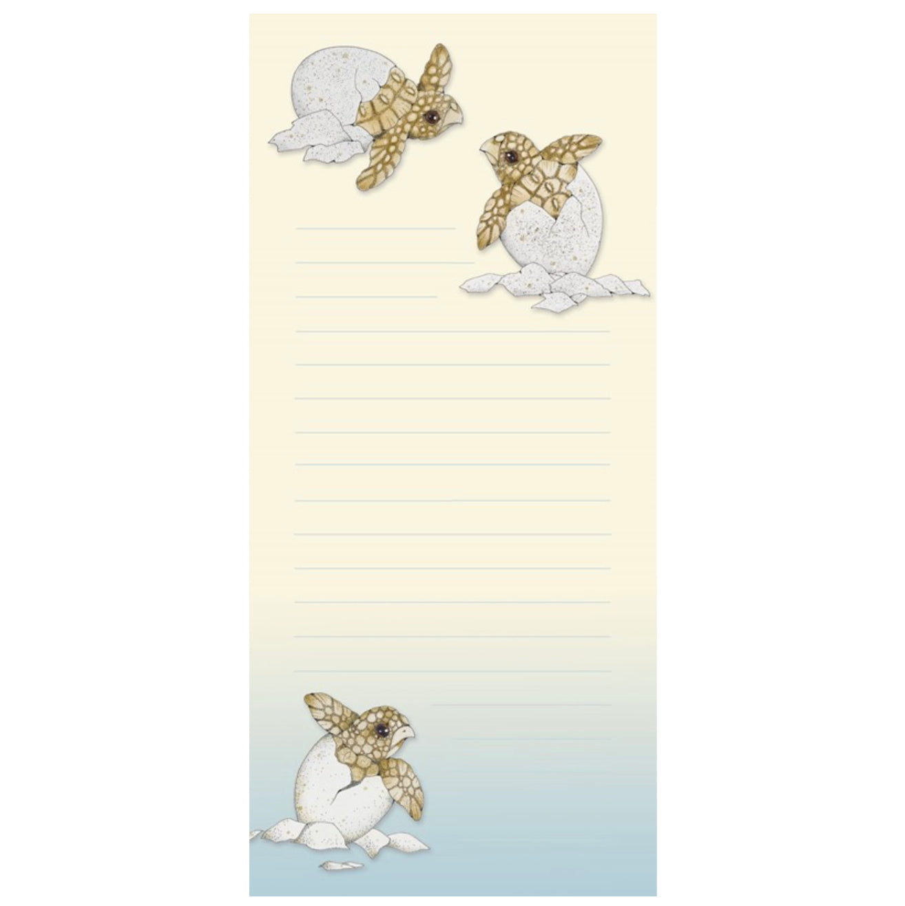 Turtle Hatchlings Note Pad