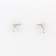 Silver Dolphin Post Earrings