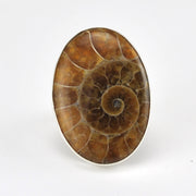 Alt View Sterling Silver Ammonite Oval Ring
