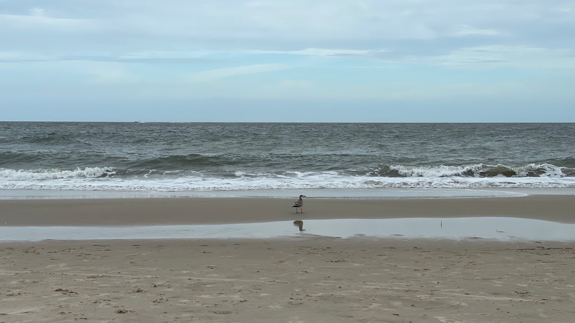 Virginia Beach in Fall