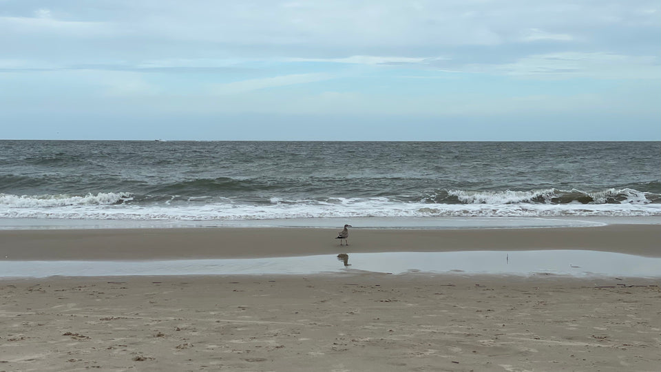 Virginia Beach in Fall