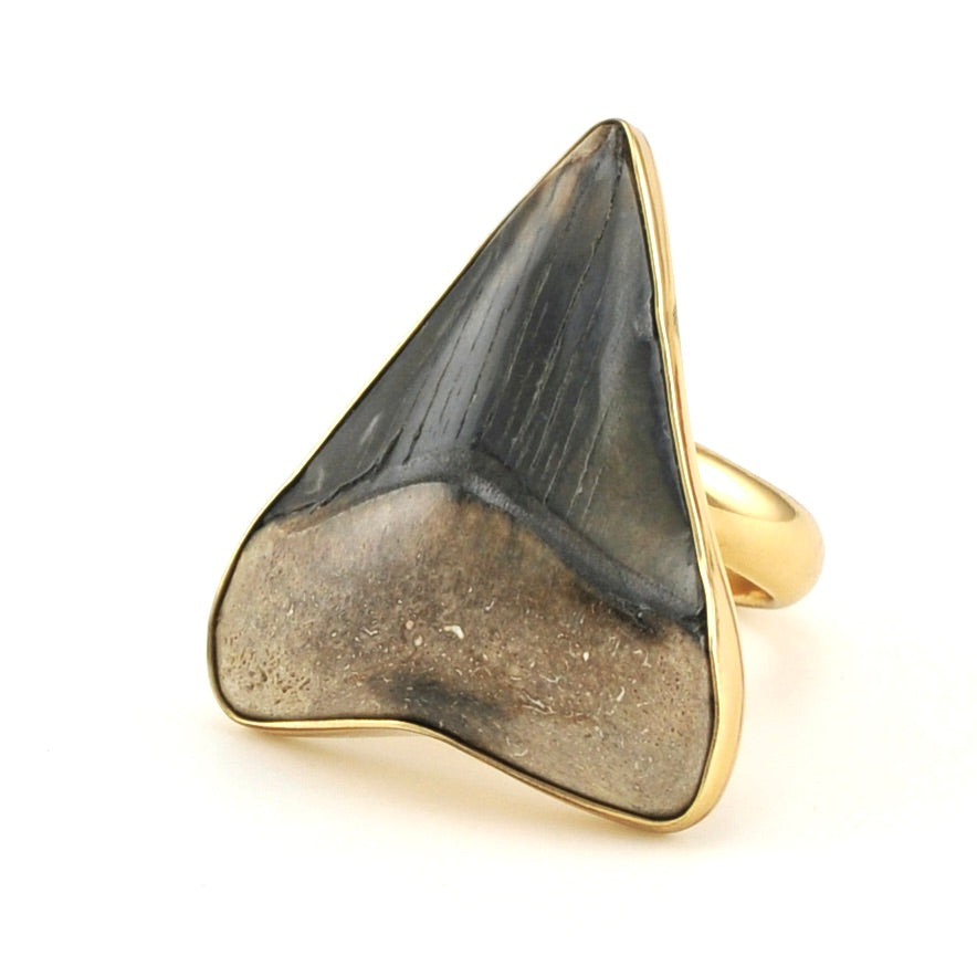 Side View Alchemía Fossil Shark Tooth Ring