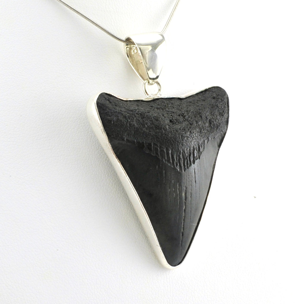 Alt View Sterling Silver Fossil Shark Tooth Pendant