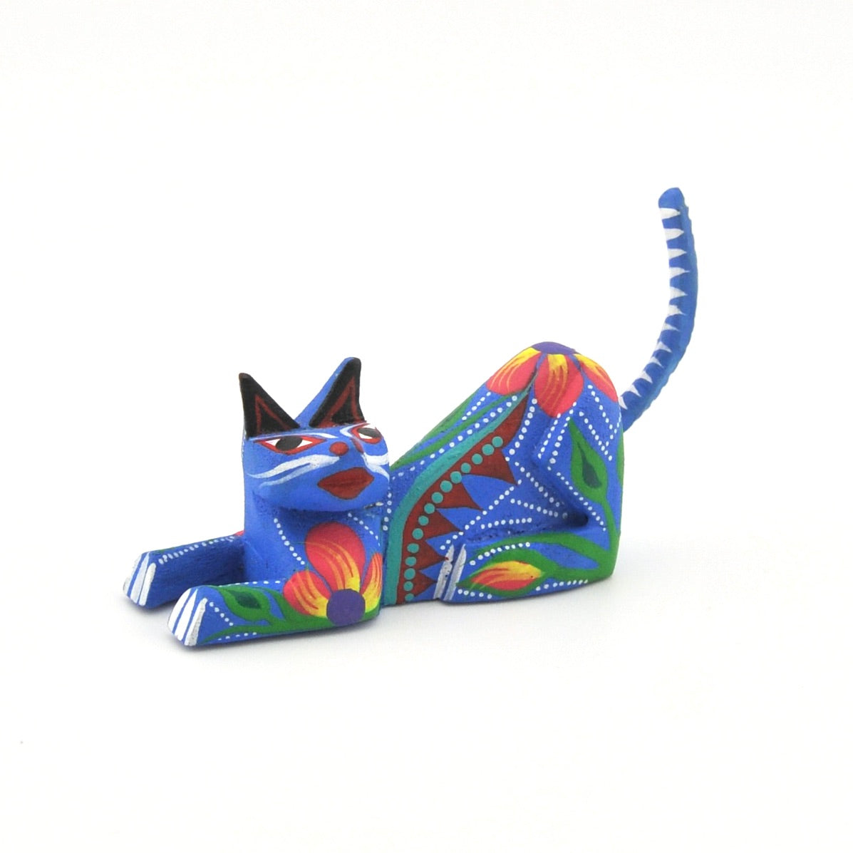 Oaxacan Cat Resting by B Munoz