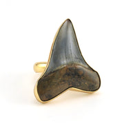 SIDE VIEW Alchemía Fossil Shark Tooth Ring