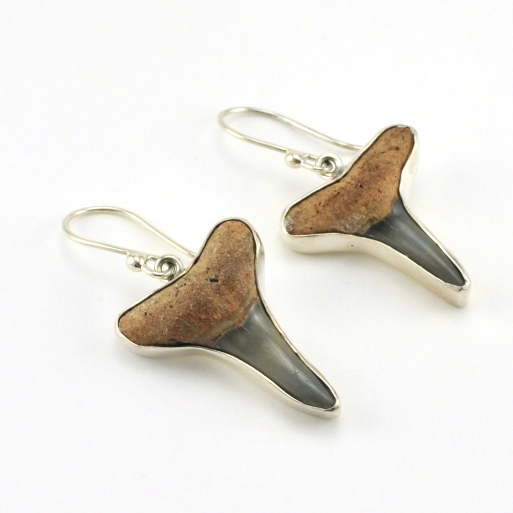 Sterling Silver Fossil Shark Teeth Dangle Earrings