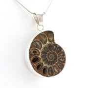 Alt View Sterling Silver Fossil Ammonite Pendant
