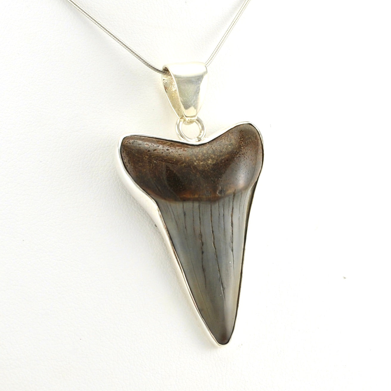 Alt View Sterling Silver Fossil Shark Tooth Pendant