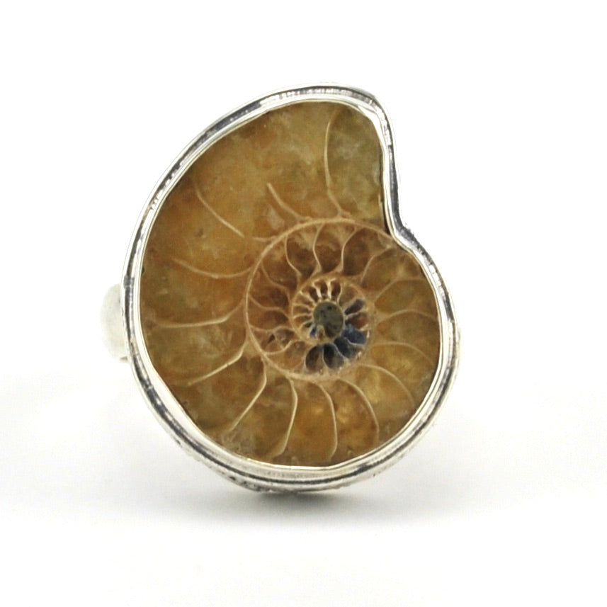 Alt View Sterling Silver Ammonite Bali Ring
