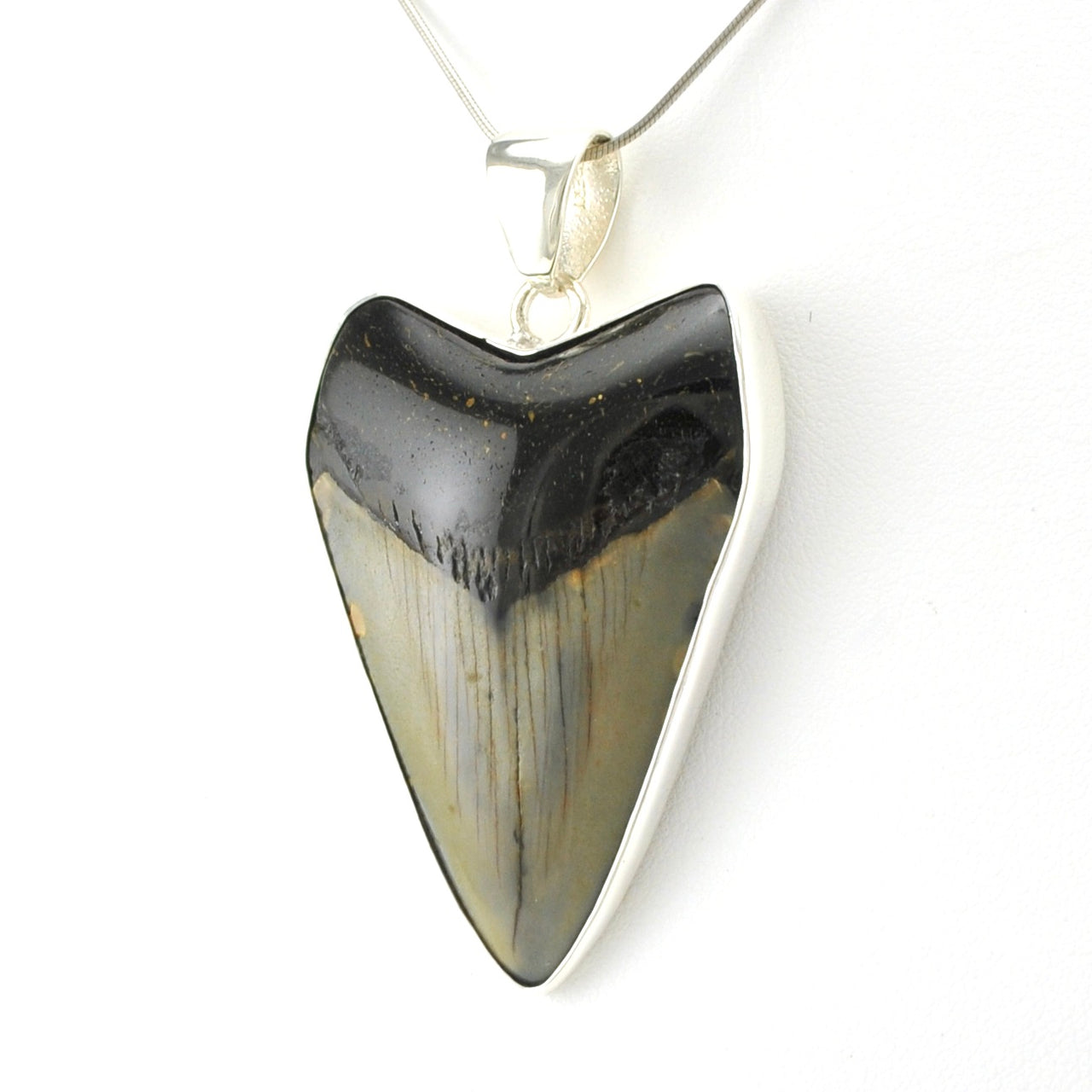 Sterling Silver Fossil Shark Tooth Pendant