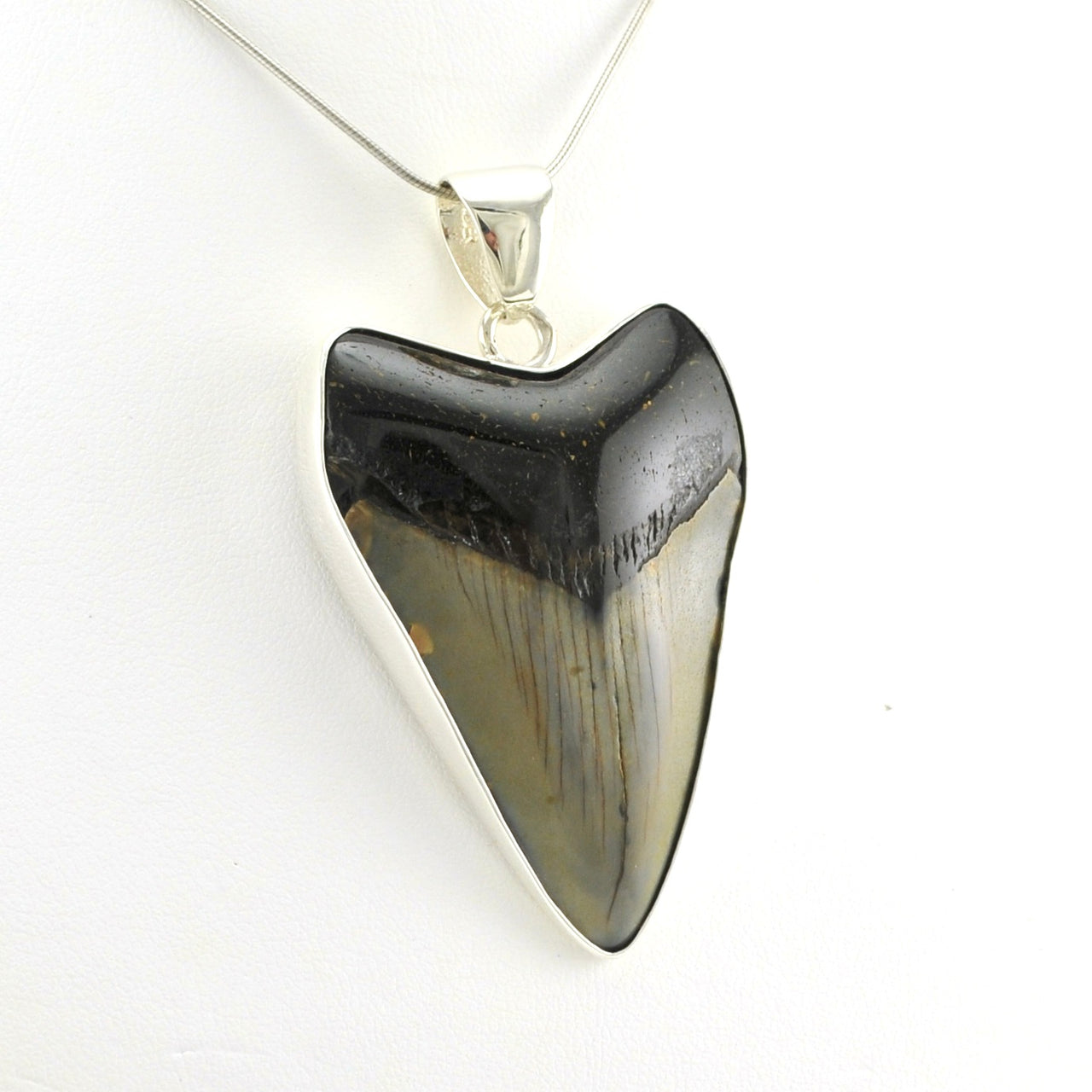 Alt View Sterling Silver Fossil Shark Tooth Pendant