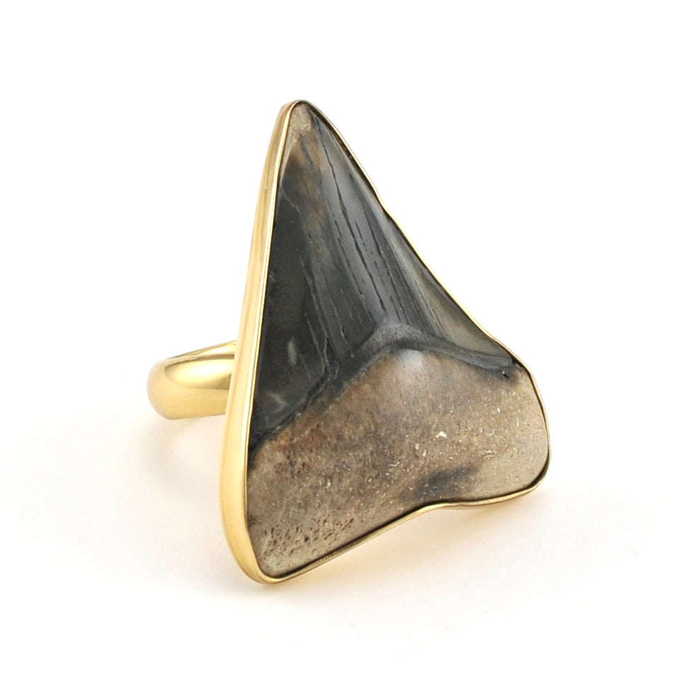 Alchemía Fossil Shark Tooth Ring