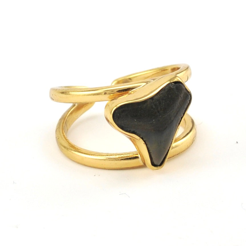 Side View Alchemía Shark Tooth Ring