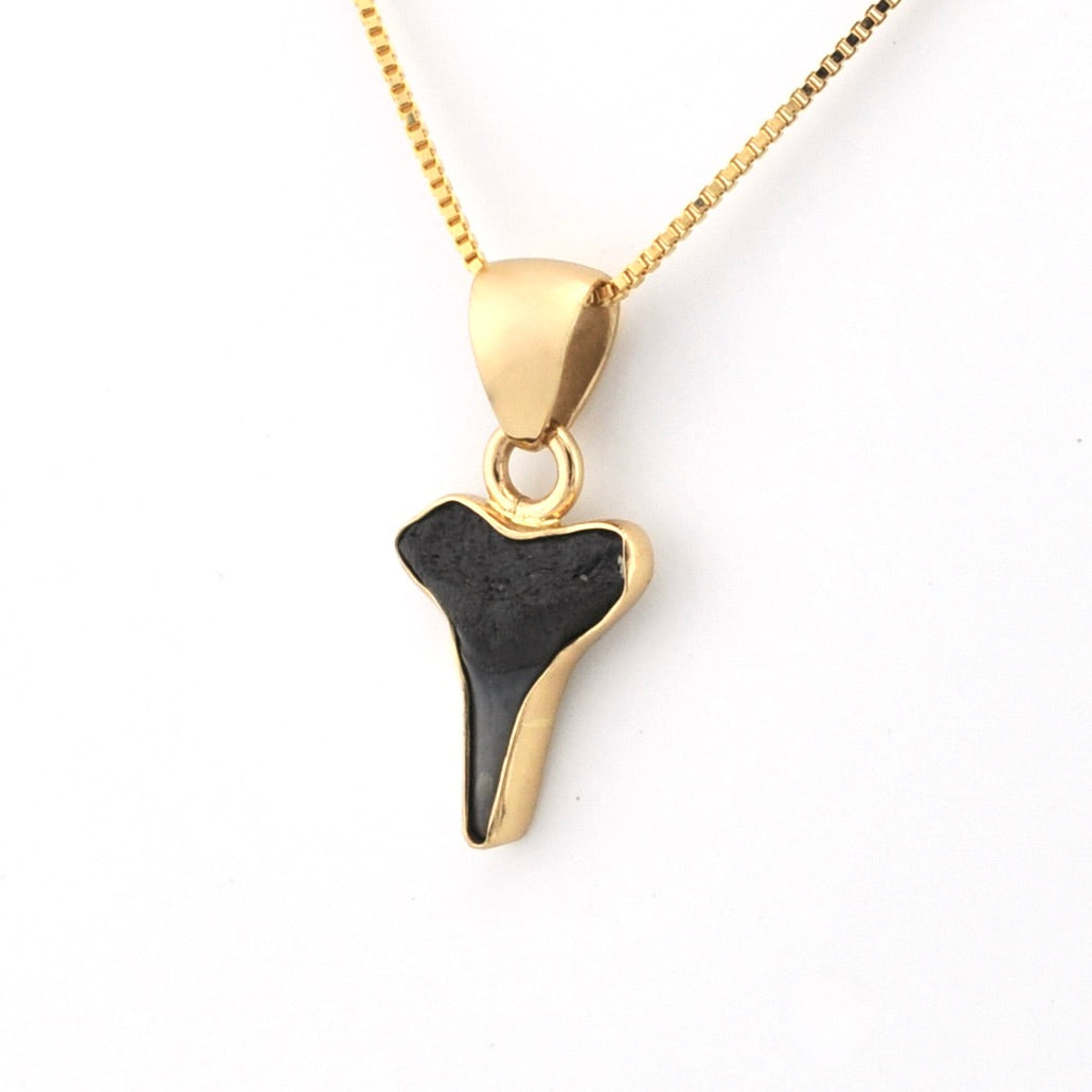 Alchemía Lemon Shark Tooth Pendant