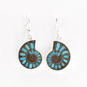 Pair of earrings with blue and brown circular design on a white background