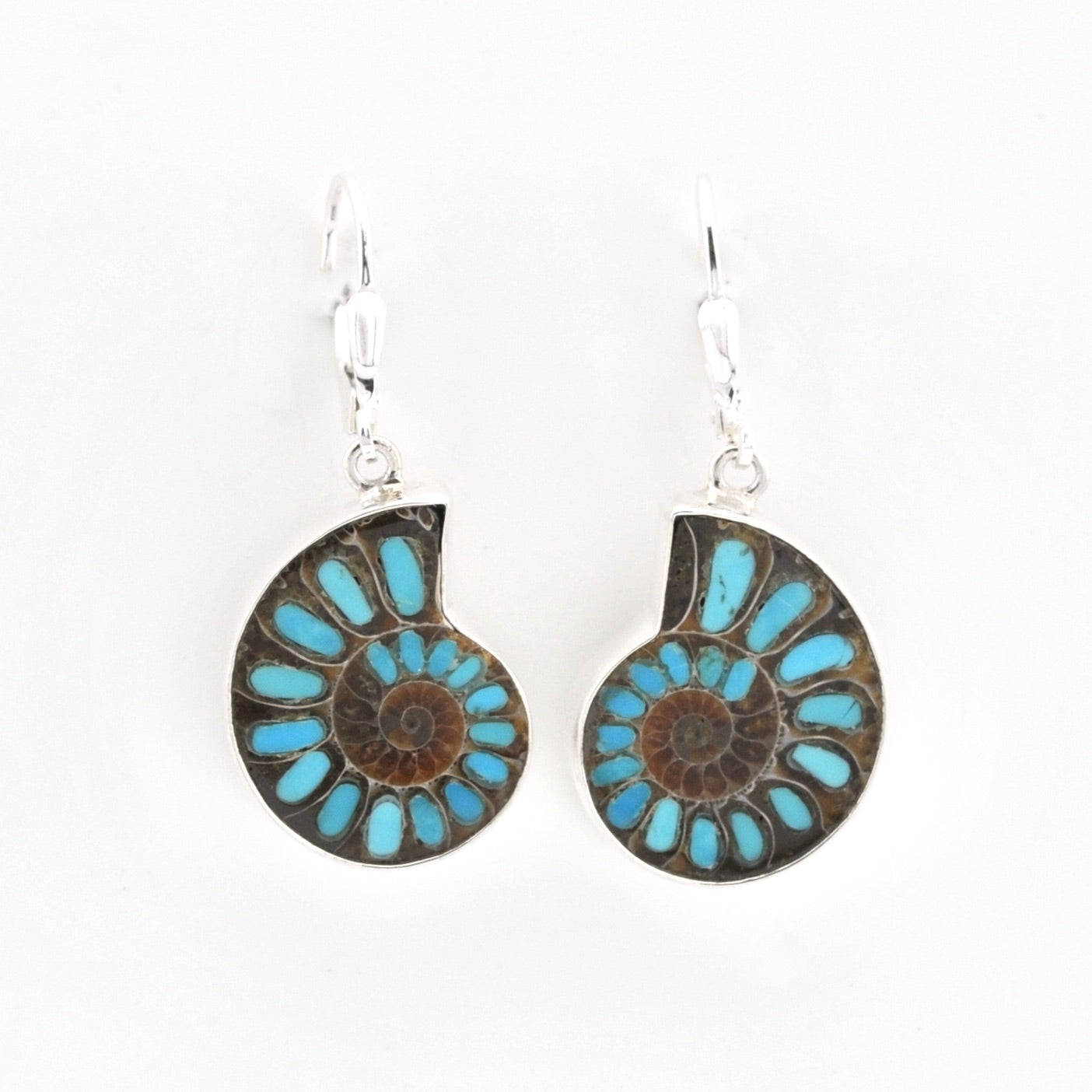 Pair of earrings with blue and brown circular design on a white background
