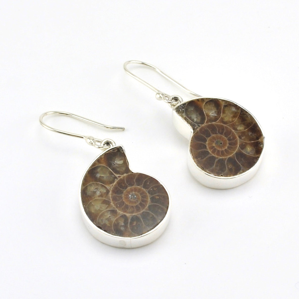 Sterling Silver Ammonite Dangle Earrings