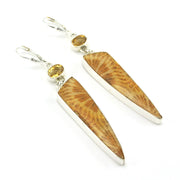 Sterling Silver Fossil Coral with Oval Citrine Dangle Earrings
