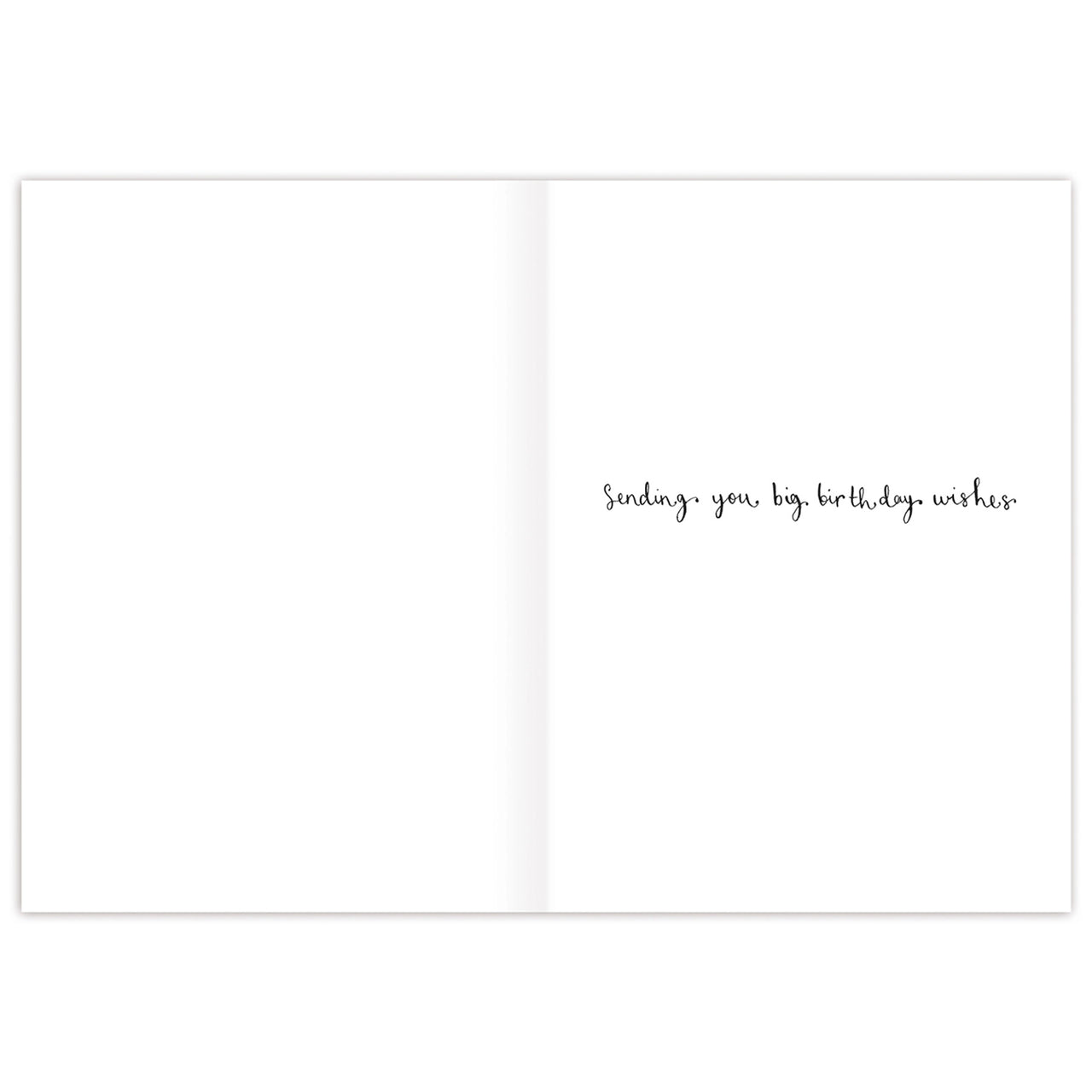 Age is Irrelephant Birthday Card Inside