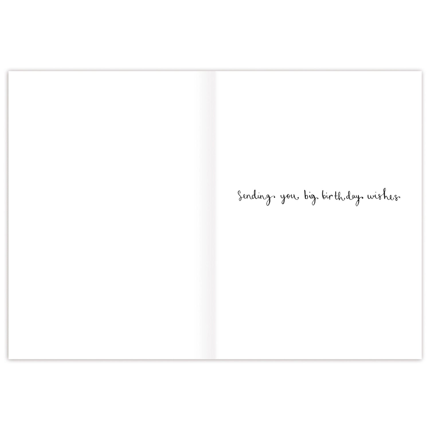 Age is Irrelephant Birthday Card Inside